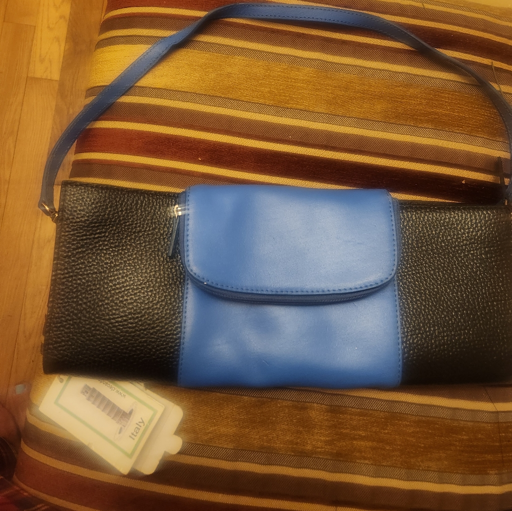 Cleo  Patek Bag Handbag